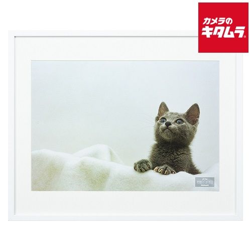 【新品】ナカバヤシ F-SW-117-W 木製写真額 A3 ホワイト