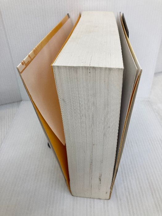 Delphi Win32Graphics APIリファレンス (アスキーブックス) アスキー