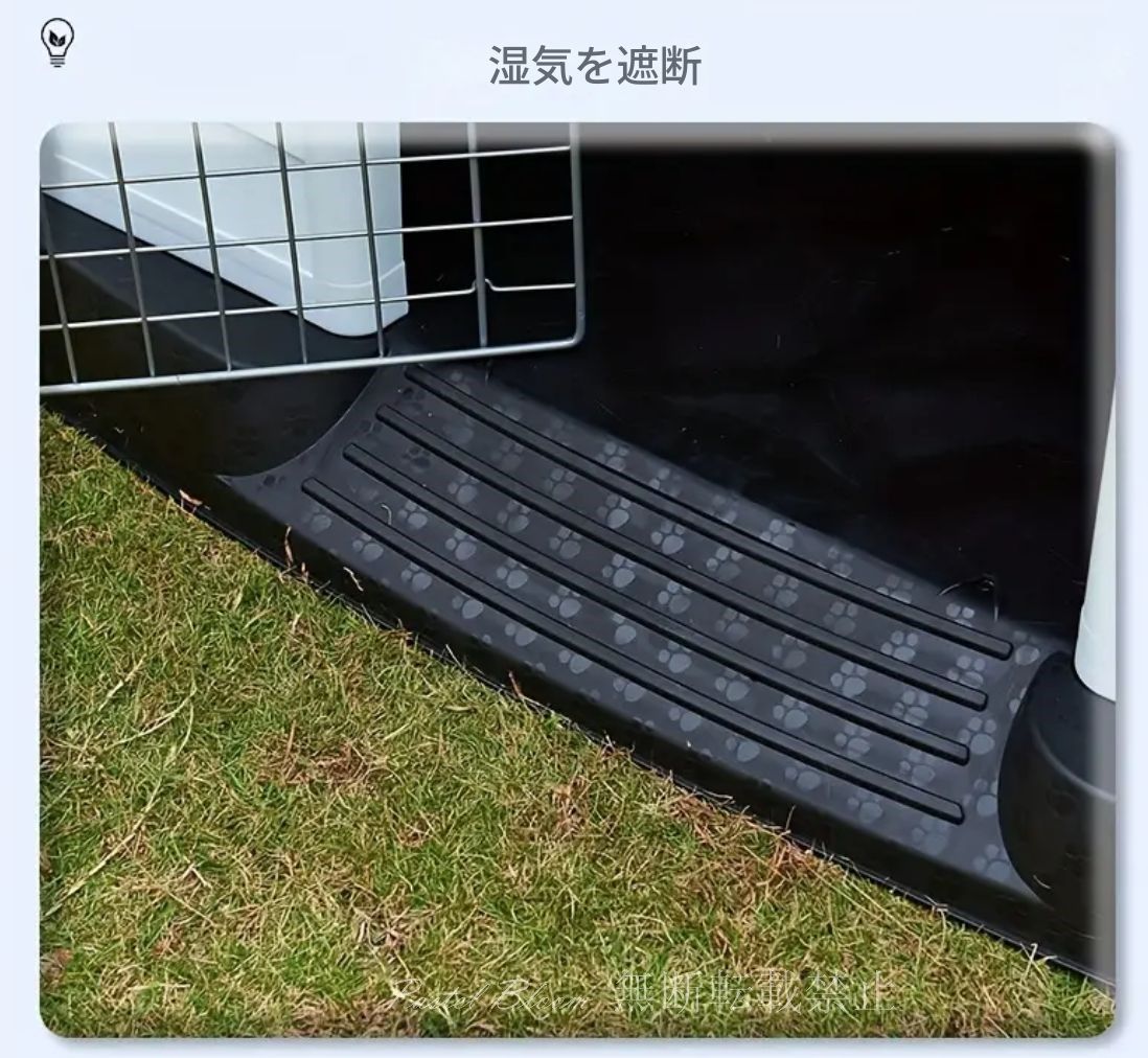 中型犬