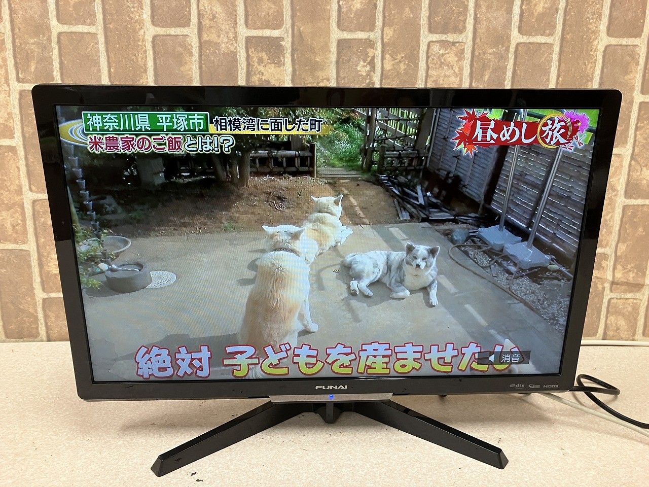 液晶テレビ　FUNAI FL-24H2010 2020年製TV 24インチ Amazon | フナイ 24V型 液晶テレビ ハイビジョン ダブル