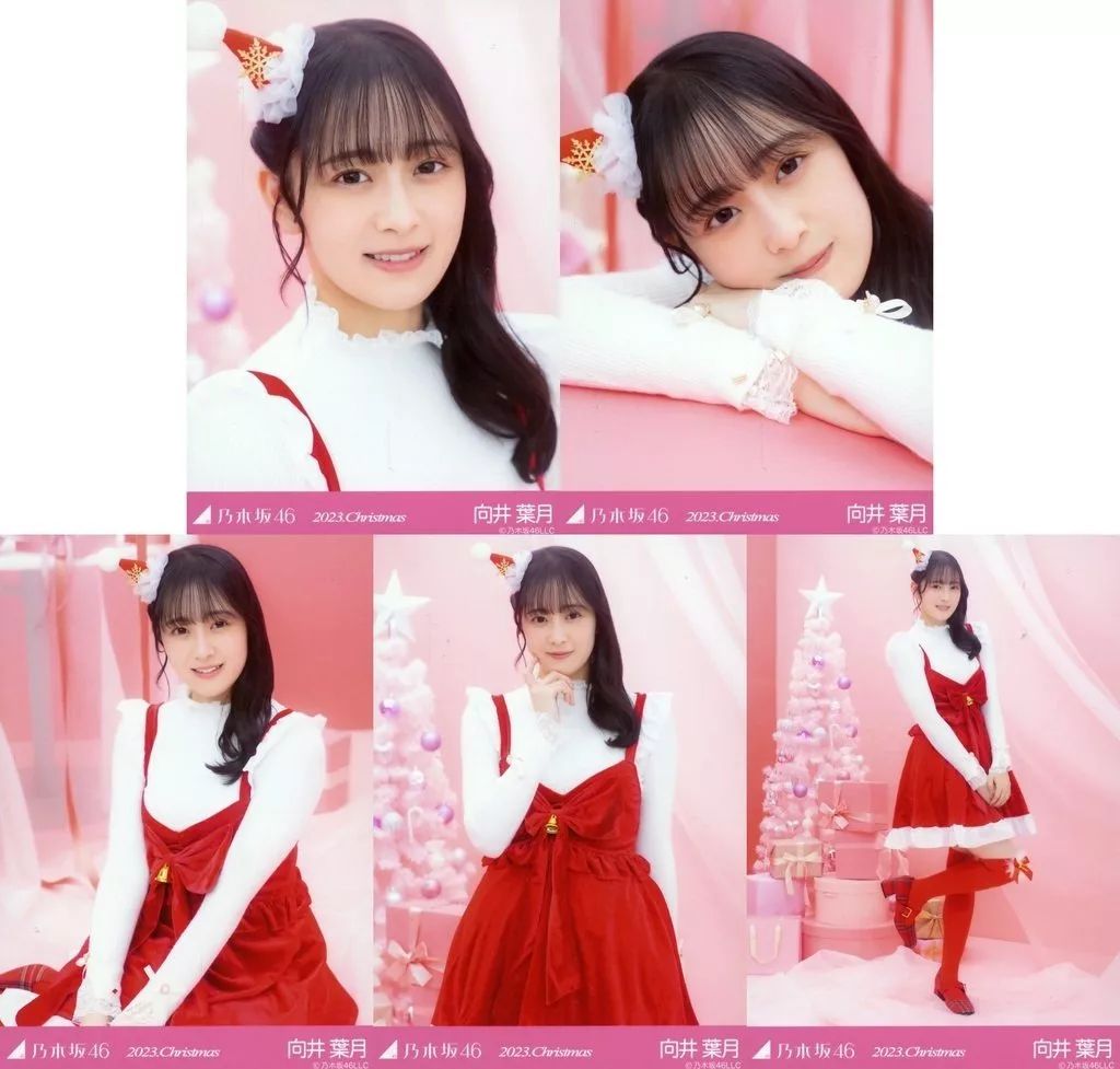 日本最大の 中古】生写真(乃木坂46) ◇向井葉月/「2023.Christmas」WebShop 財布・ケース・小物入れ