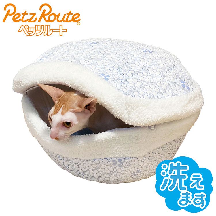 2024年の日本茶インストラクター講座セット(茶器あり)