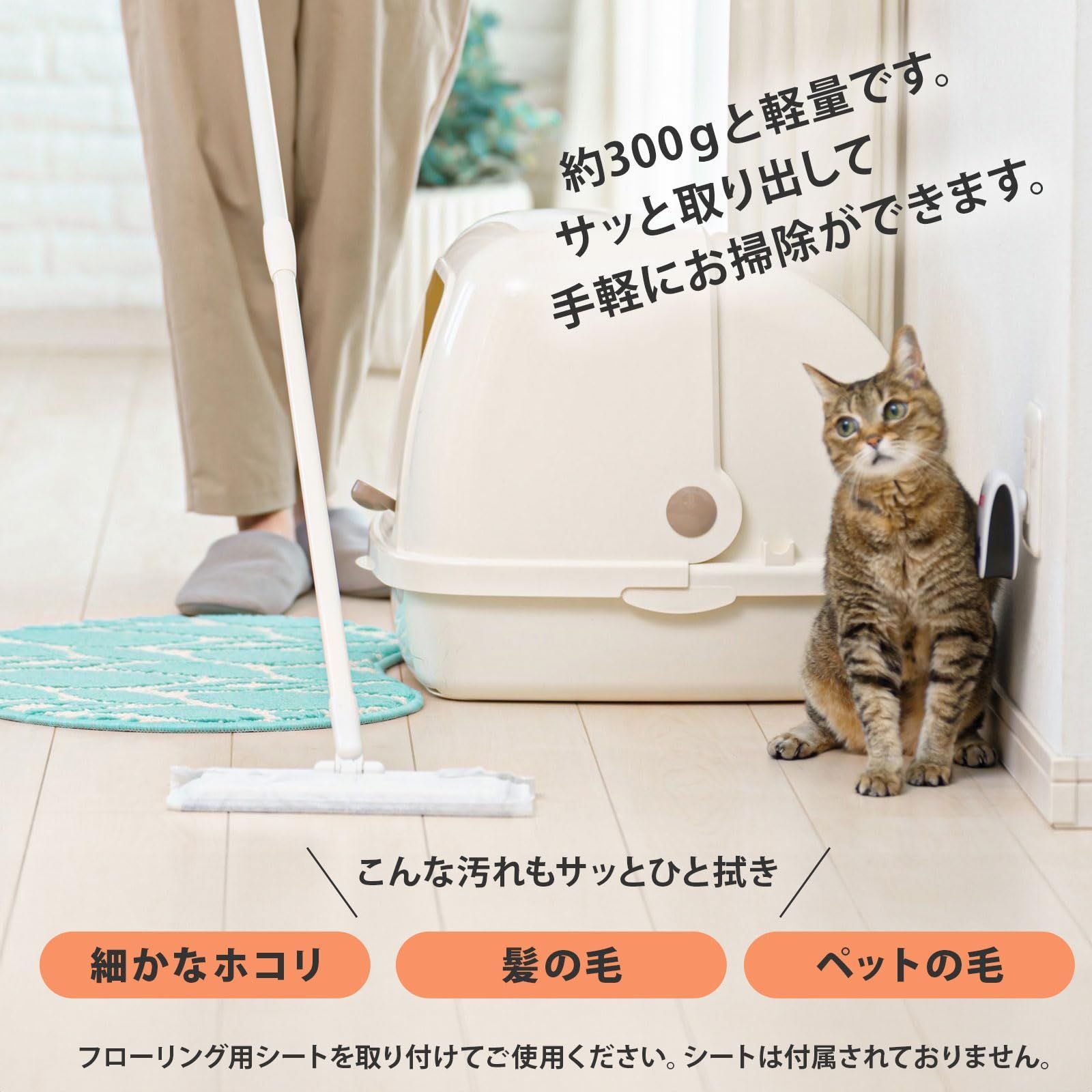 本体