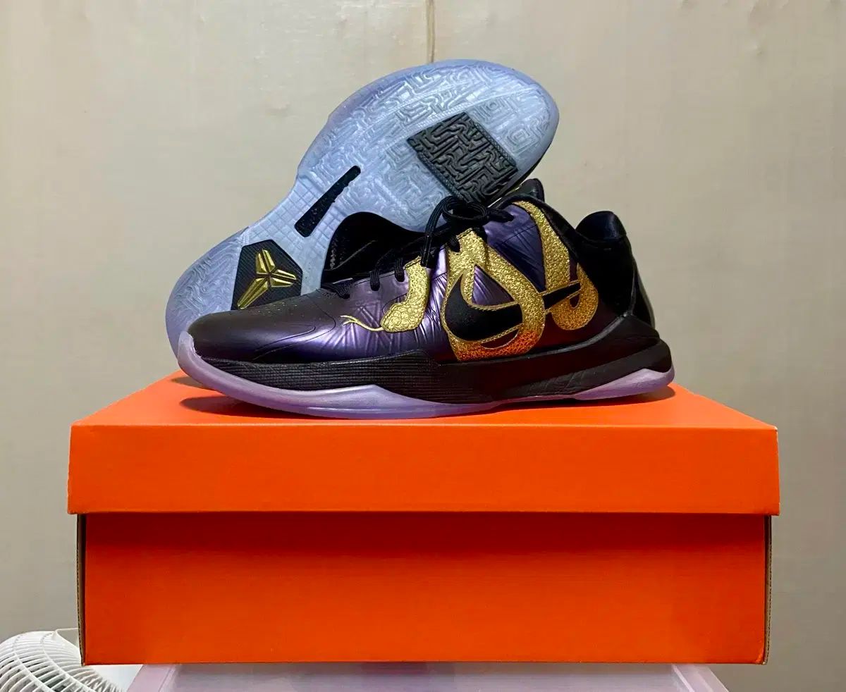 コービー・5 プロトロ バスケットボールシューズ KOBE V PROTRO “Year of the Mamba” 'Eggplant' ｜ FLY
