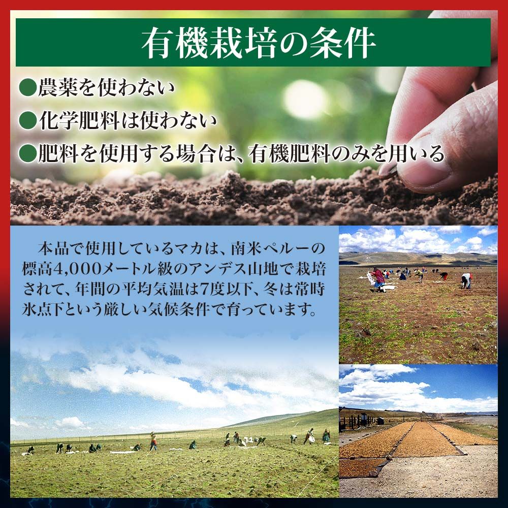 エキサイトパワー帝王 240粒 3個 約90日分 宅配便 マカ maka マカサプリ 妊活 冬虫夏草 シトルリン トンカットアリ ムクナ 亜鉛サプリ サプリ サプリメント 粒 男性 女性 KANDAIZUMI_COM