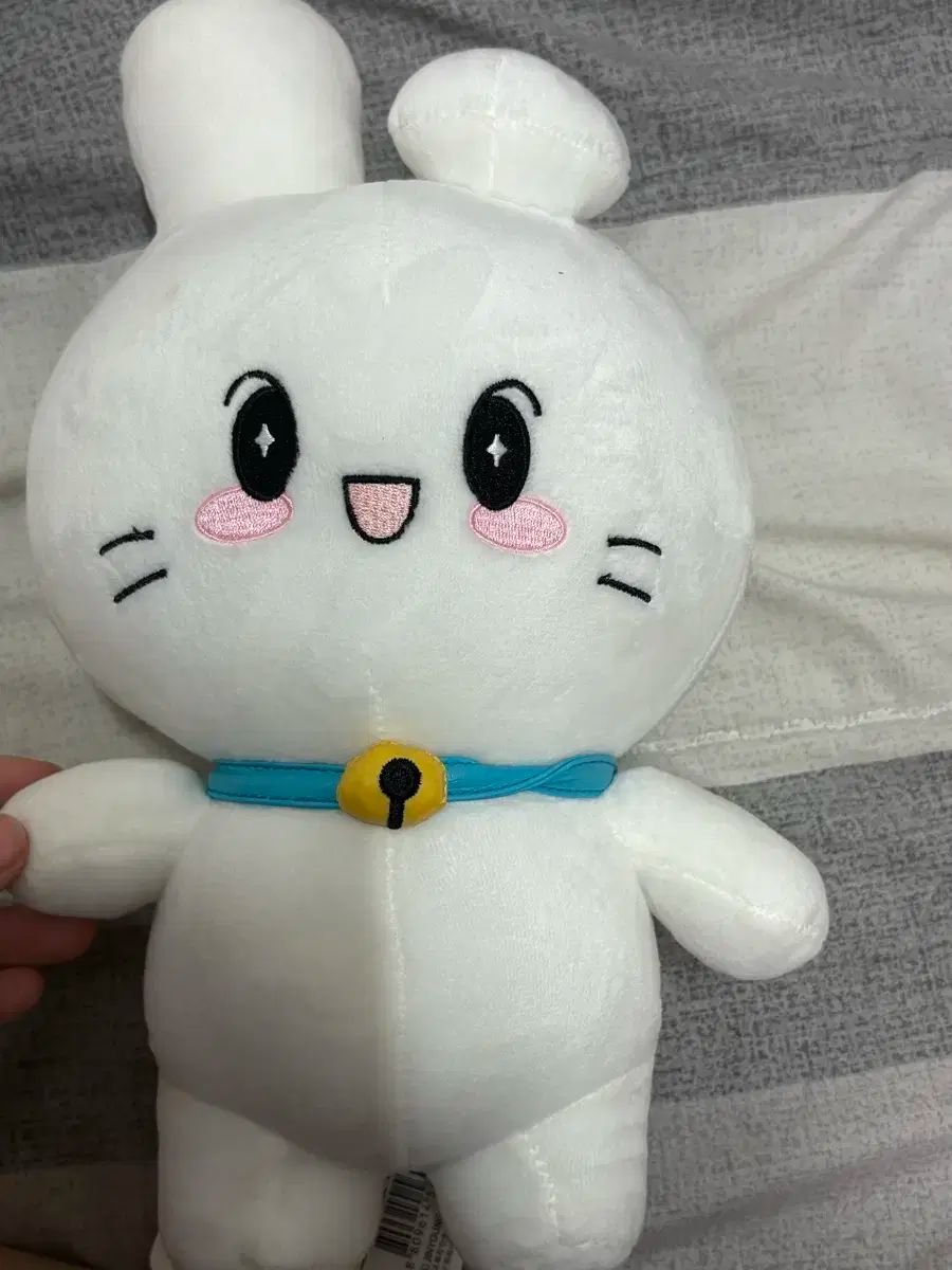 うさぎ アヒル