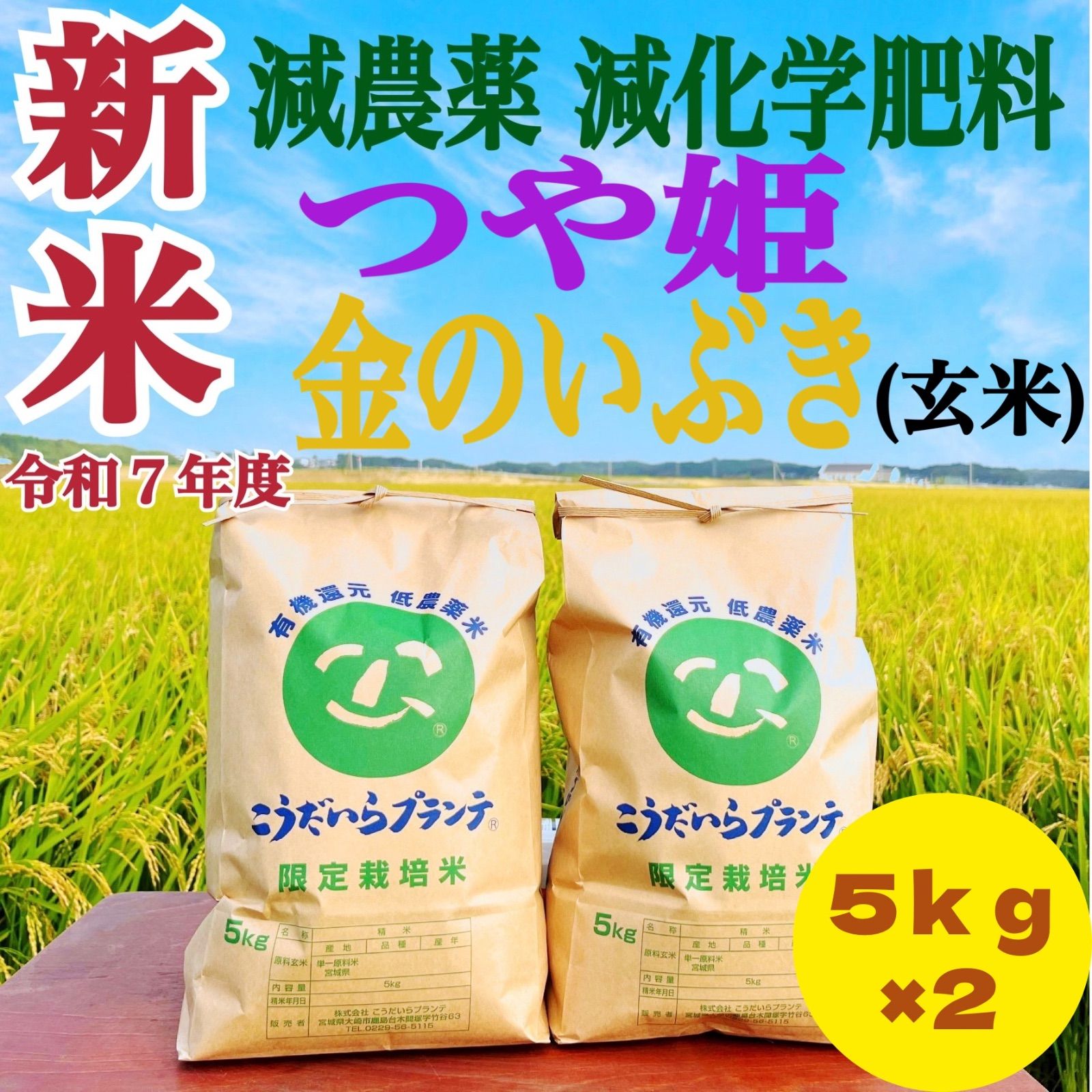 新米 令和７年度 農家直送 減農薬 つや姫＆金のいぶき 玄米 食べ比べセット