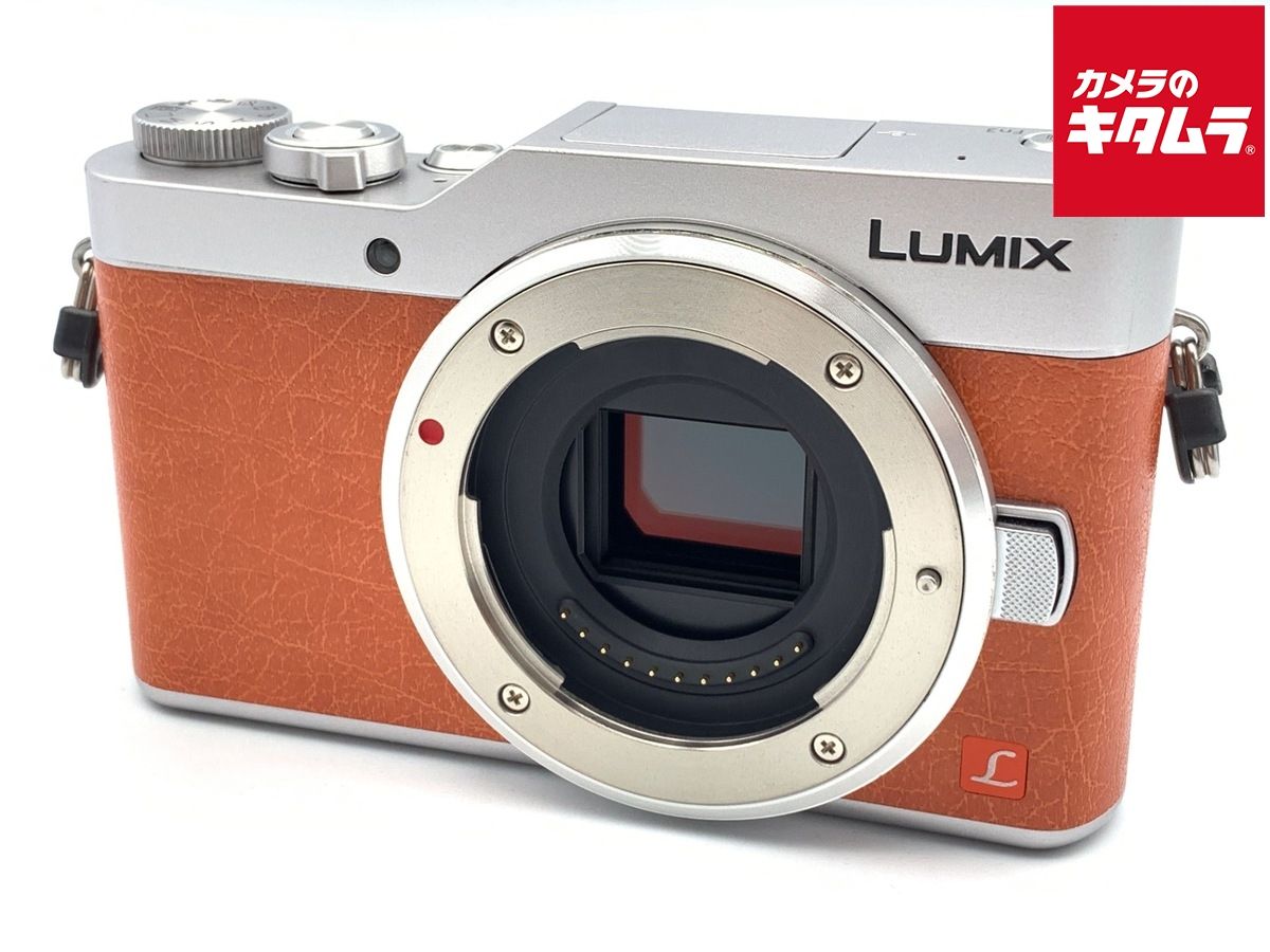 Panasonic LUMIX DMC-GM1 オレンジ、SDカード付き デジタルカメラ LUMIX DMC-GM1 Panasonic Lumix DMC-GM1 Review