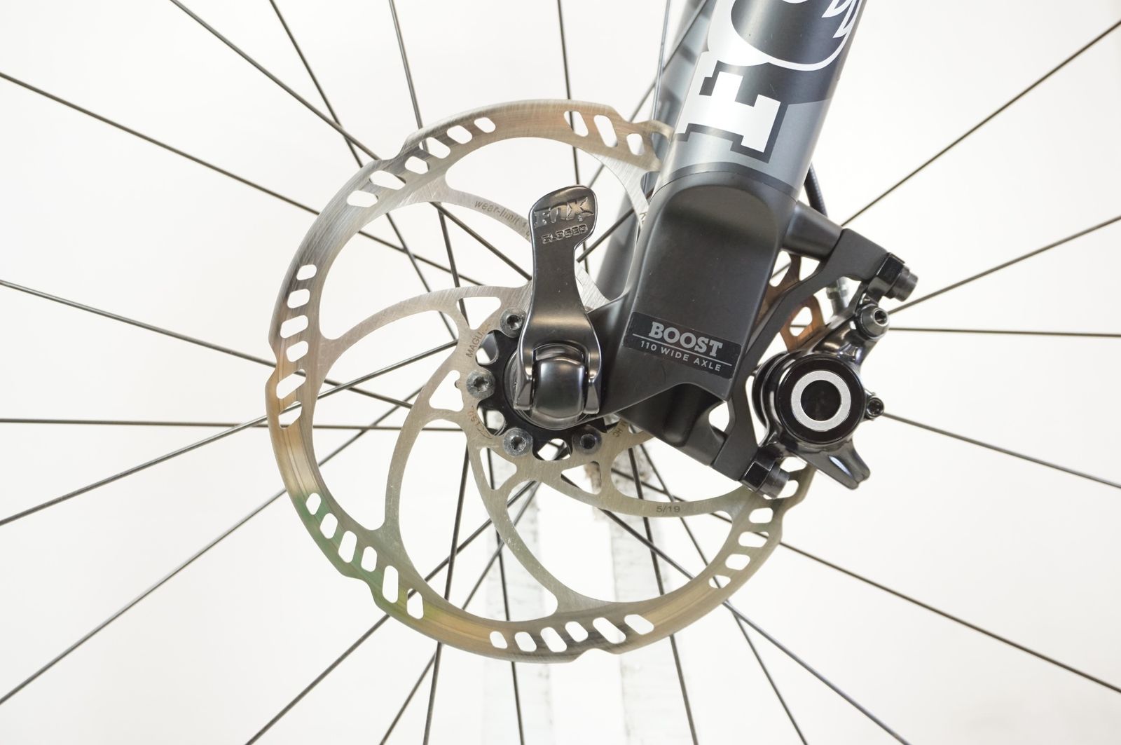 CRUZ サンタクルーズ