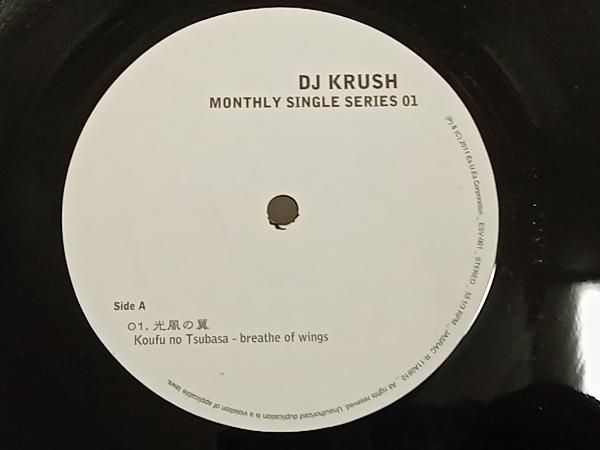 DJ KRUSH 12インチ 10枚 レコード 12インチレコード】DJ KRUSH 20th ANNIVERSARY SPECIAL MONTHLY