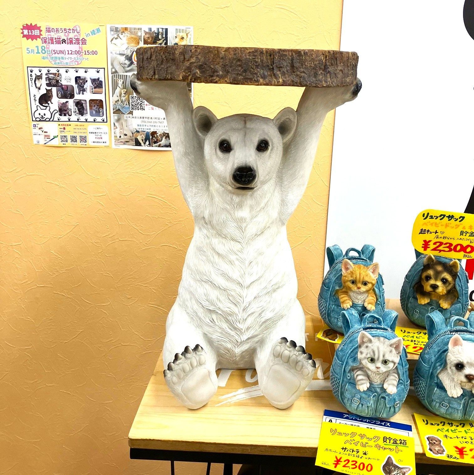 シロクマ 動物