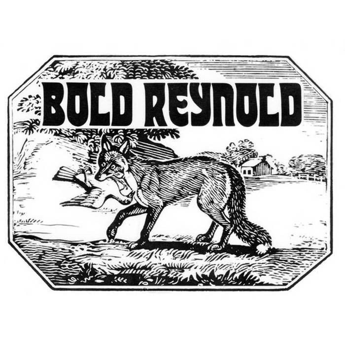 DAVID CARROLL AND FRIENDS:Bold Reynold(CD)-0