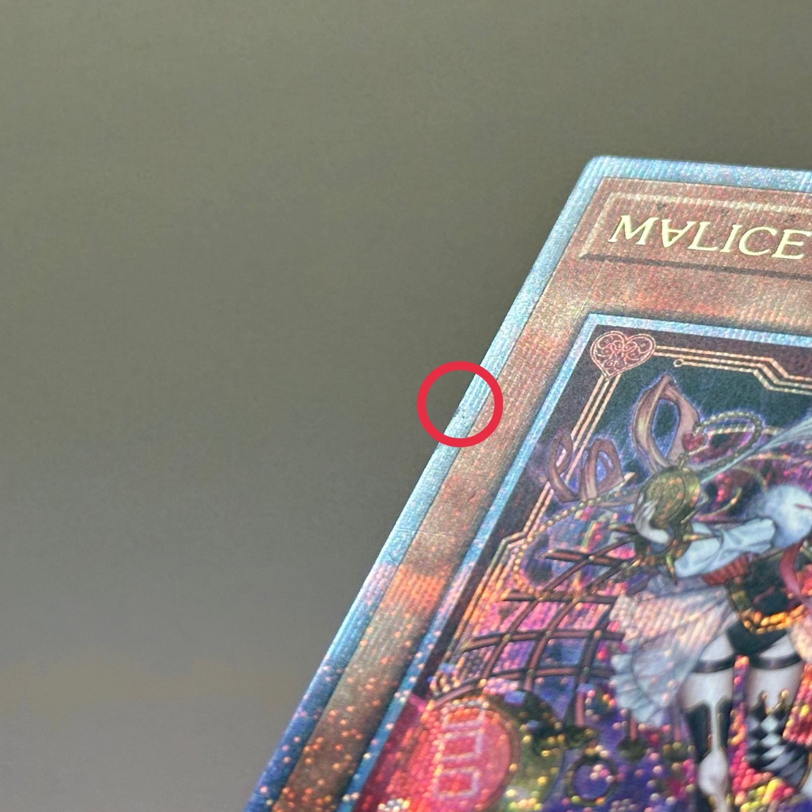 浜館49-191】 遊戯王 M∀LICE＜P＞White Rabbit DBCB-JP015