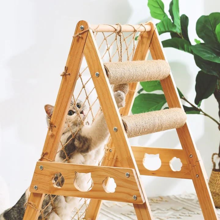 安全 猫ハウス