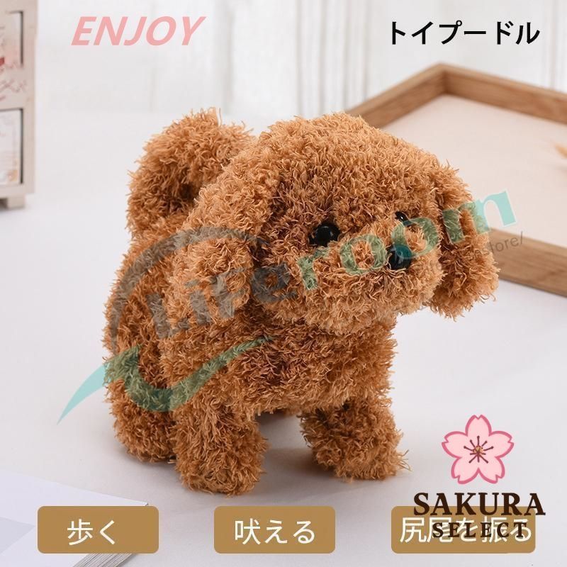 人気商品発売中】元気な仔犬トイプードルのショコラちゃん