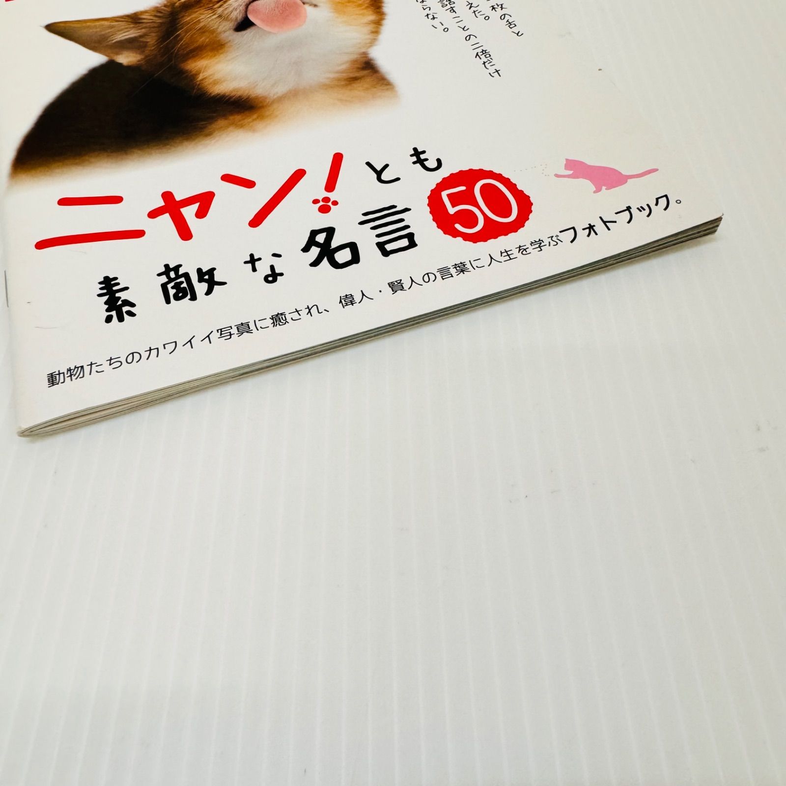 ニャン！とも素敵な名言50 ダイソー　可愛い写真　ネコ　フォトブック, image size:1600x1600