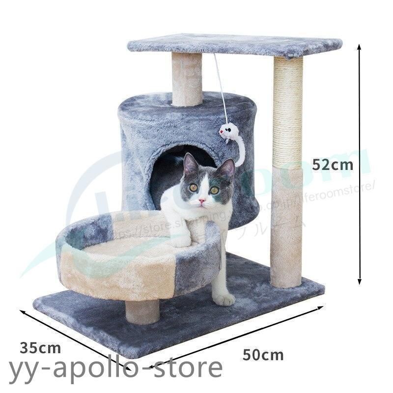 子猫