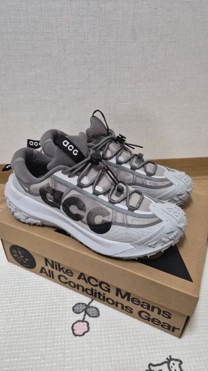 S レベル NIKE ナイキ ACG マウンテン フライ 2 275 サイズ