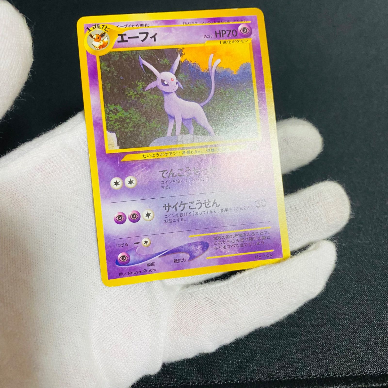 ポケモンカード 旧裏 エーフィ ブラッキー プレミアムファイル