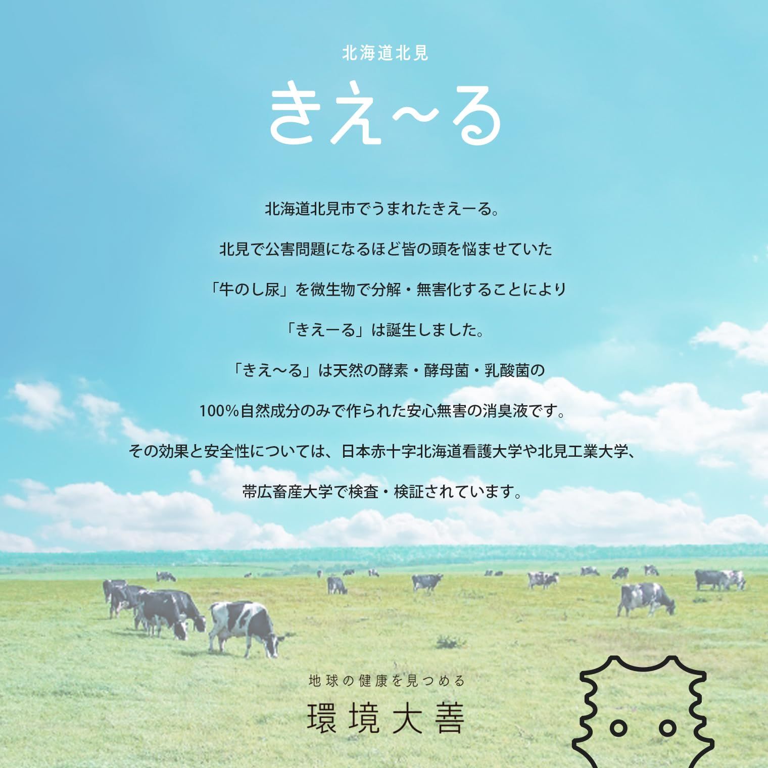 環境大善