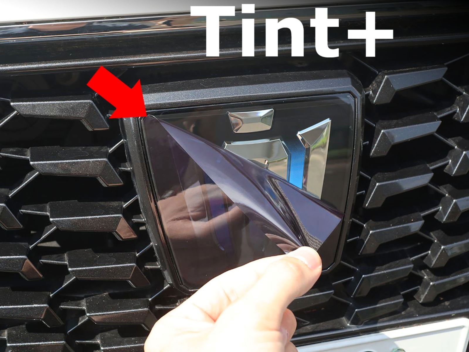 Tint+何度も貼れるエンブレム スモークフィルム 220 クラウン