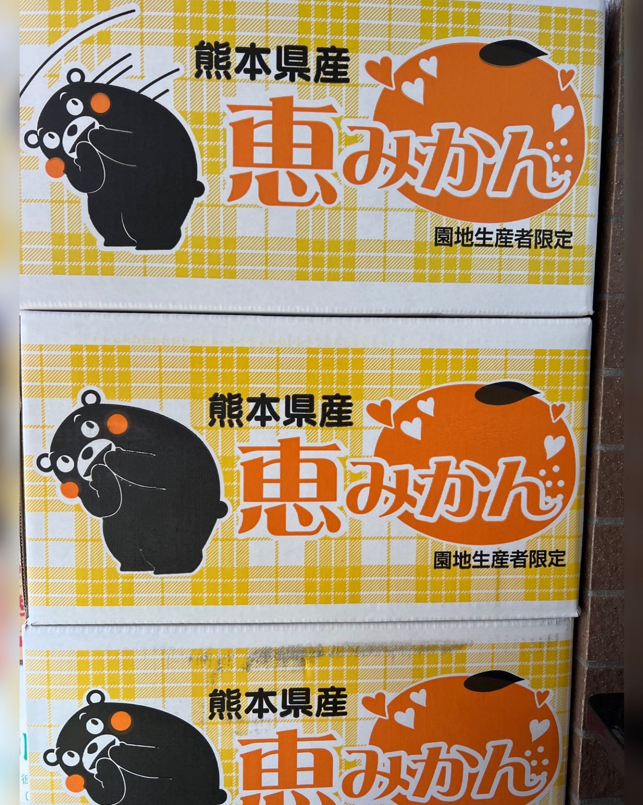 熊本県産　恵みかん（早生）　くまモン箱入り　Mサイズ約10kg-2