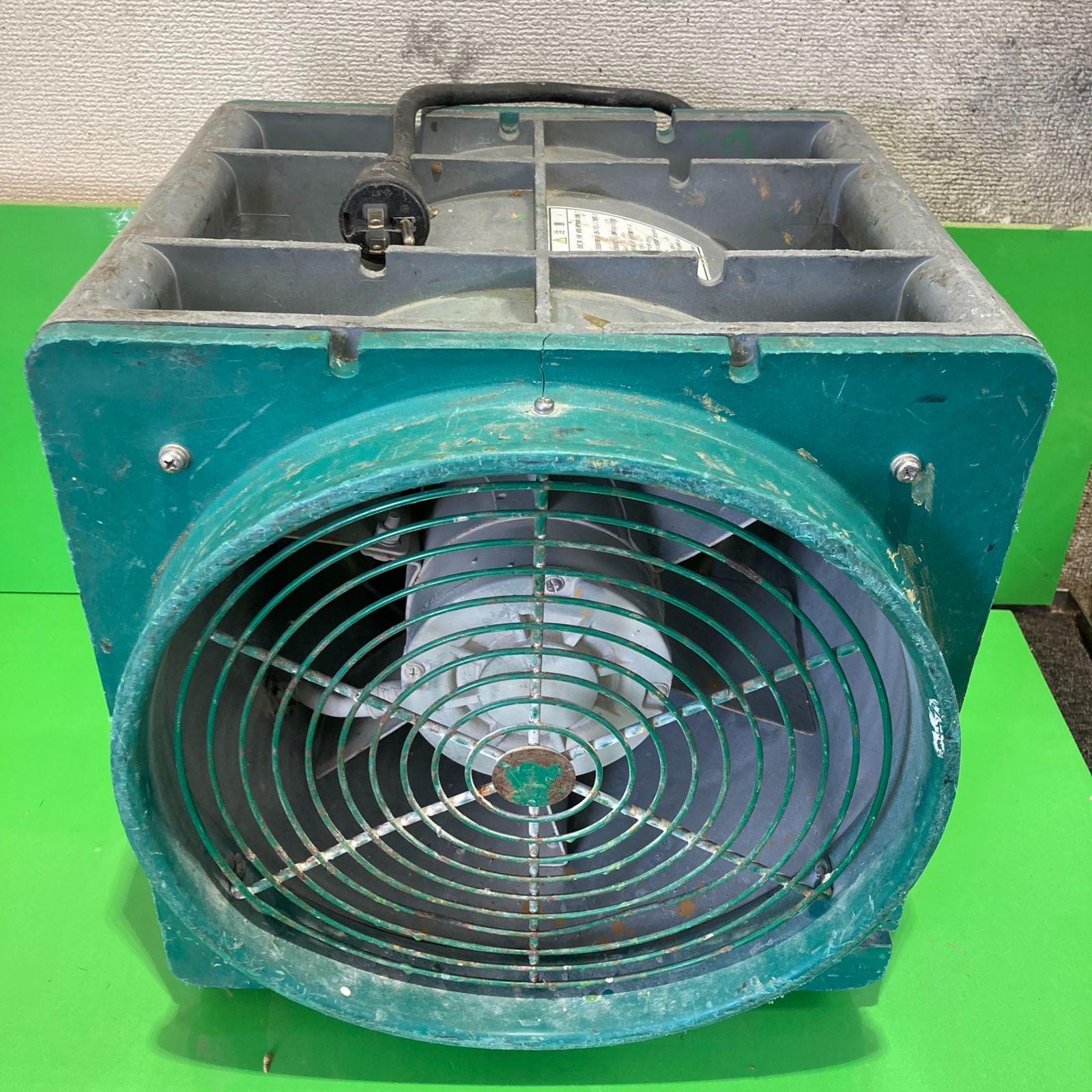 図説 名古屋の昆虫 林昌利 フルカラー 本物