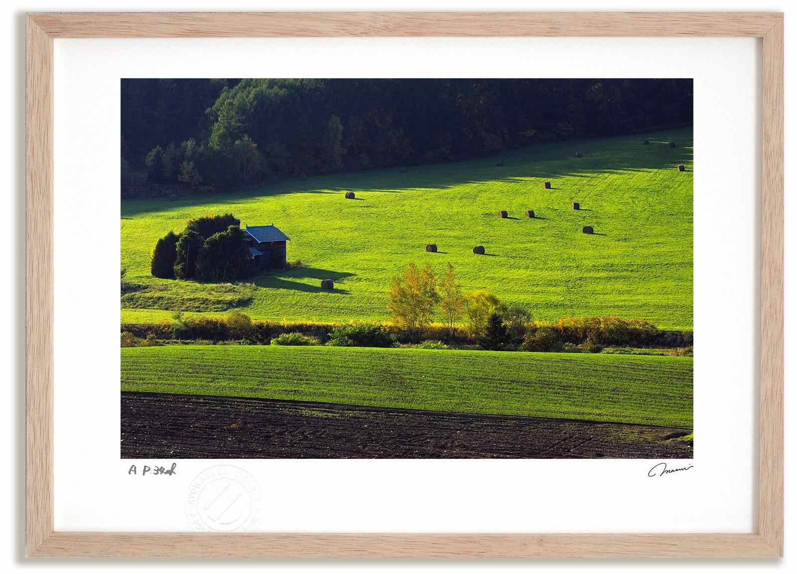 木曜時代劇「あさきゆめみし～八百屋お七異聞」 BD-BOX〈5枚組〉ブルーレイ あさきゆめみし～八百屋お七異聞 （2） 「しのぶれど」 - 動画配信