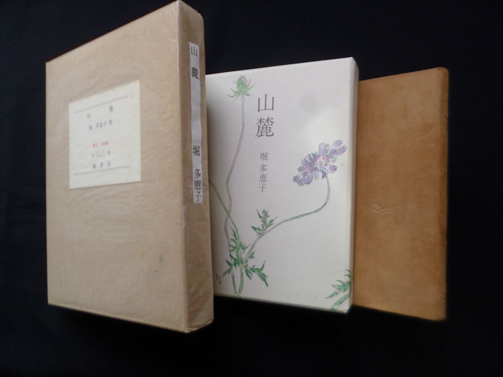 山麓 堀多恵子