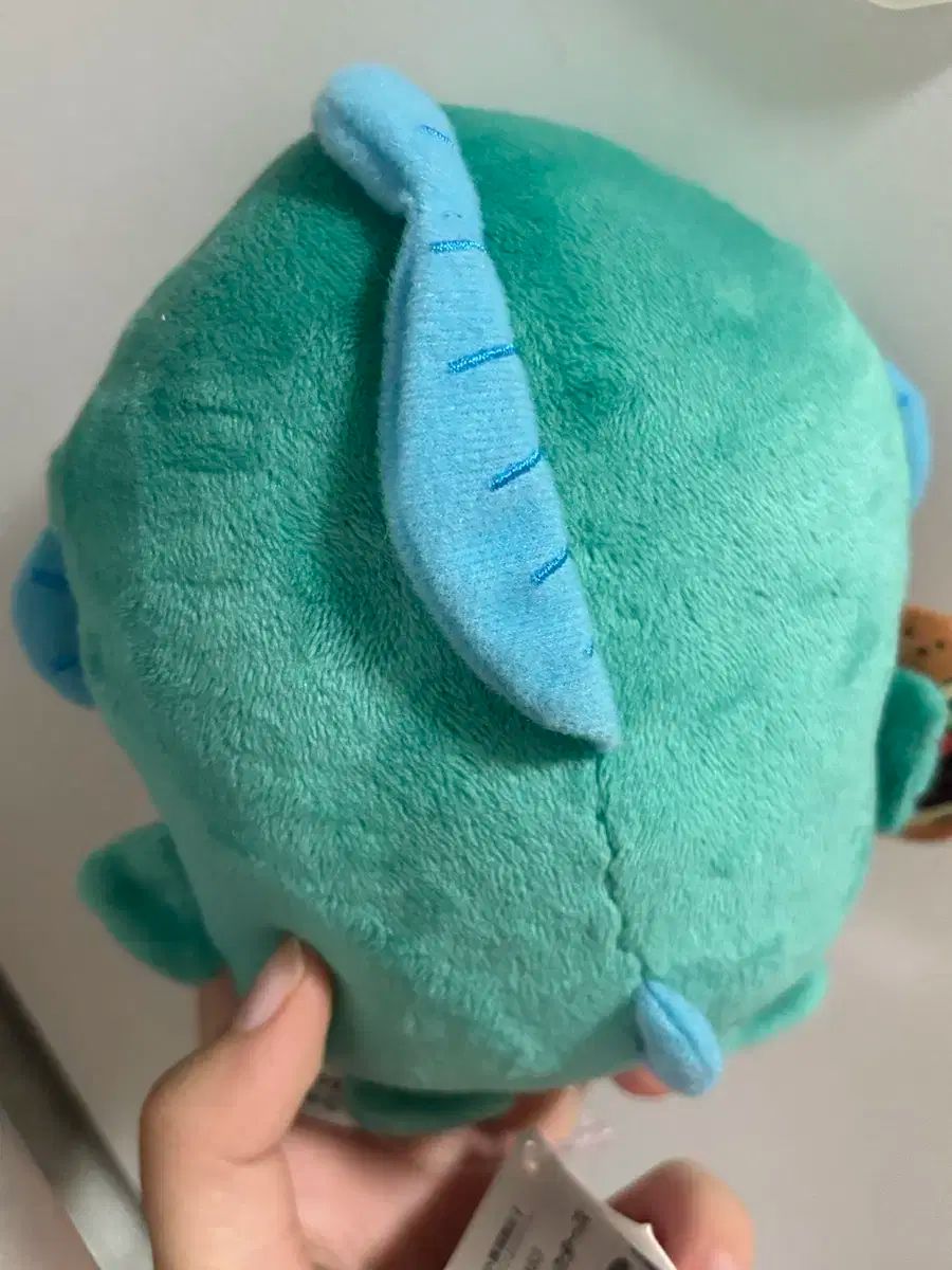 ナガノ ハンギョドン