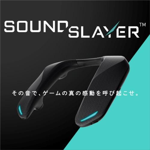 SC-GNW10