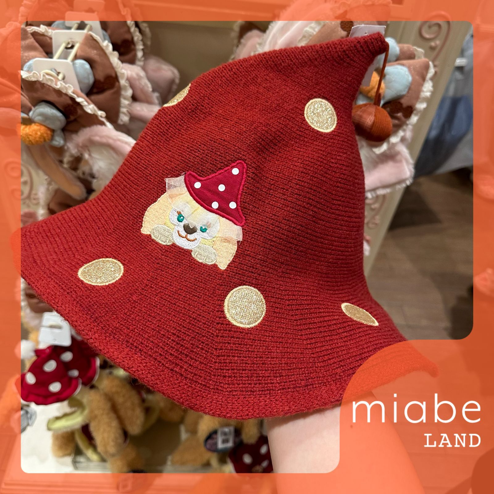 Group B｜10~15営業日国内倉庫発送｜miabe LAND｜限定