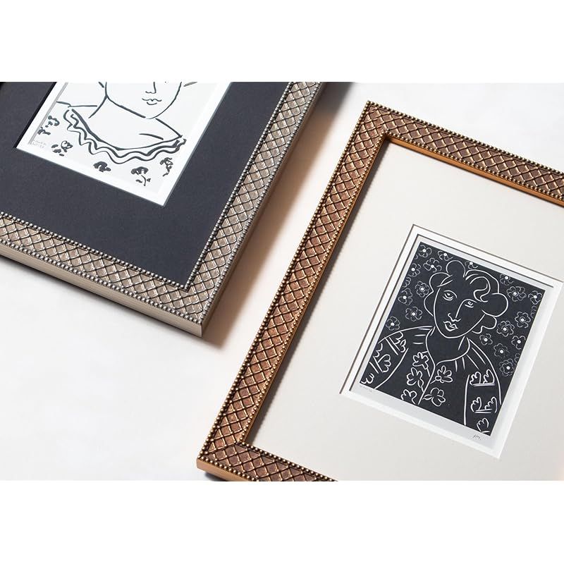 ラーソン・ジュール 額縁 アレグラII オンライン 水彩F4S(内寸