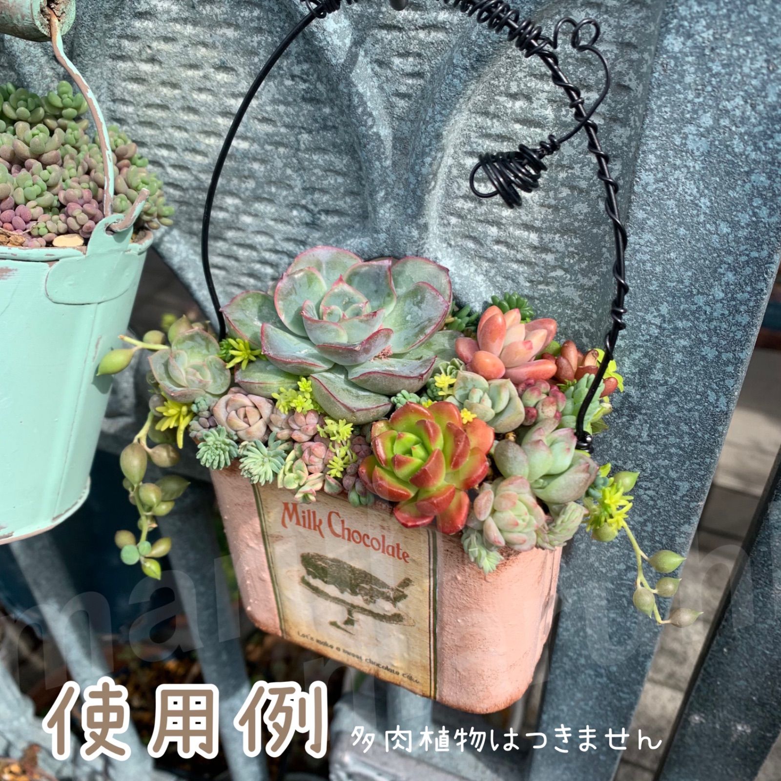 リメイク缶 【ピンク 】2個セット 宅配 多肉植物の寄せ植えに