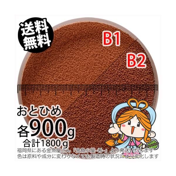魚用品・水草 沈降性(沈下性)日清丸紅飼料おとひめB1と