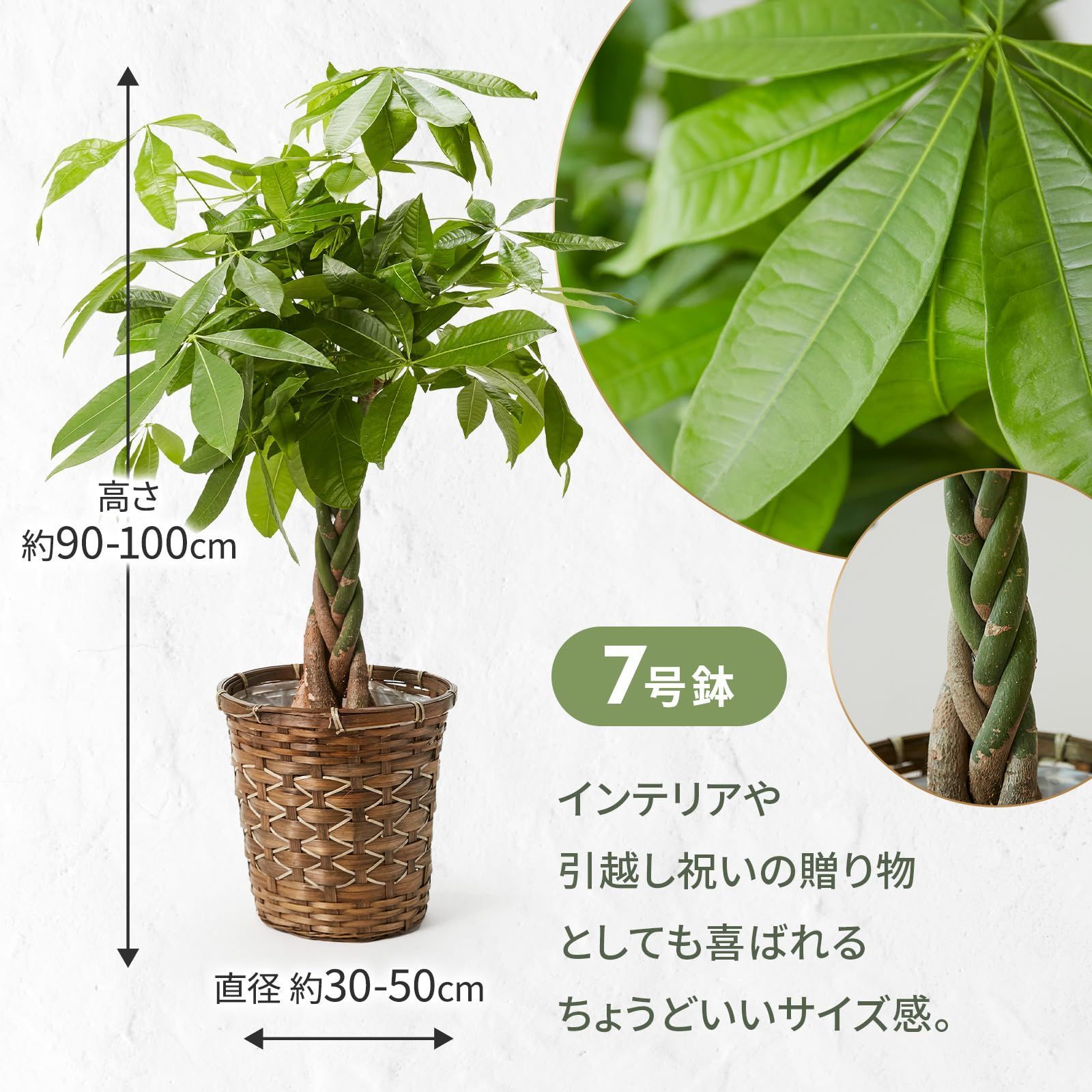 プレゼント