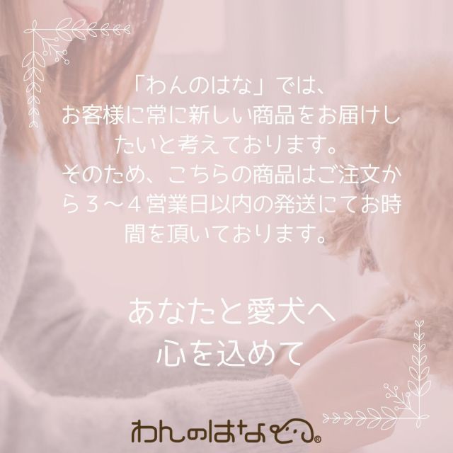 20ルビアス　LT2500S -DH プロフェム スーパーモイストシャンプー 犬猫用 3000ml 【公式通販】