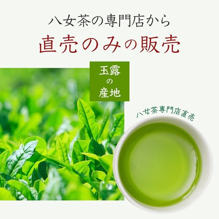 包装済 手提げ袋付 八女茶 お茶 ギフト 緑茶 玉露 煎茶 缶入り