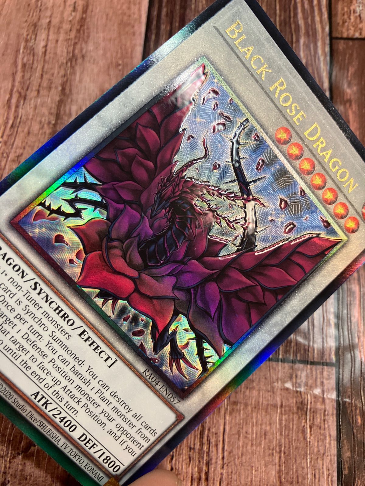 遊戯王 英語 EU イタリア ブラック・ローズ・ドラゴン 遊戯王 英語版 ブラック・ローズ・ドラゴン 25thレア TN23 北米版