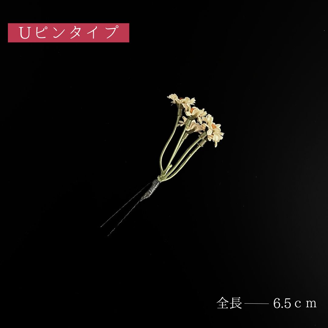 袴