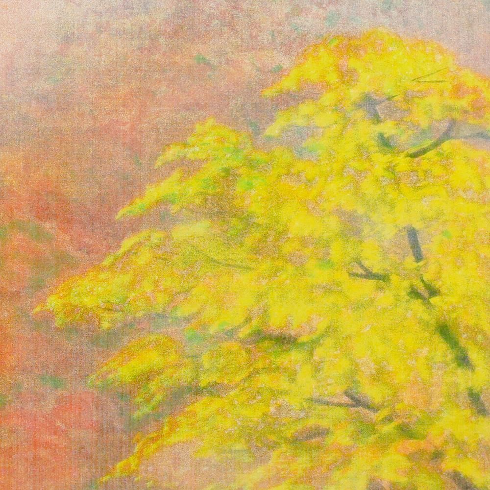 真作】【WISH】岩澤重夫「瀧聲(秋)」カラーエッチング 6号大