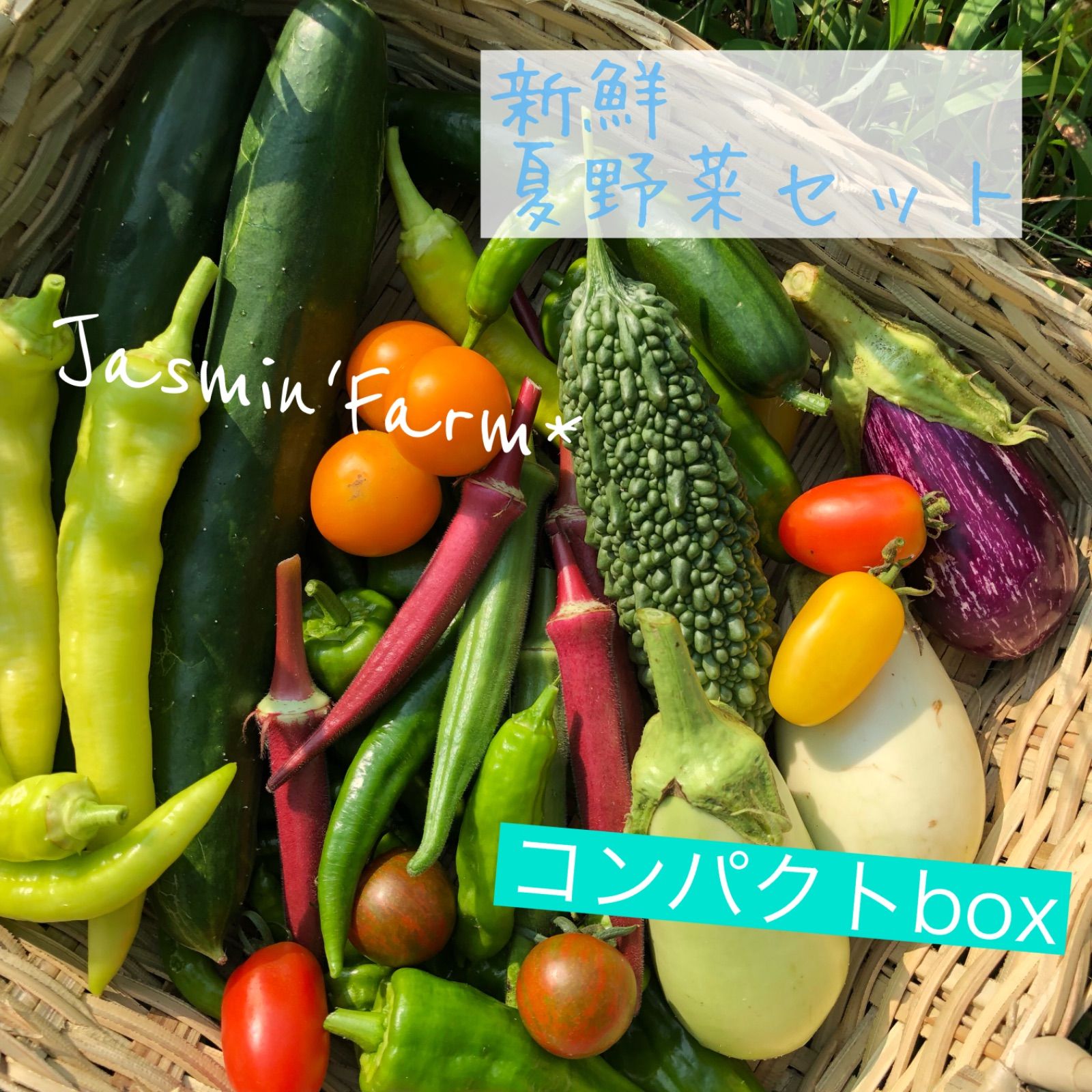 新鮮*夏野菜セット ＊宅急便コンパクト - メルカリ