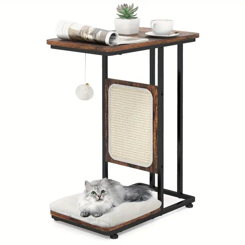 小型猫 中型猫