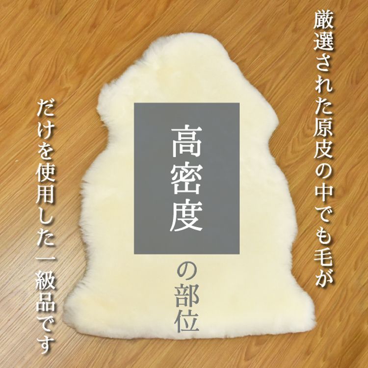 シート カー