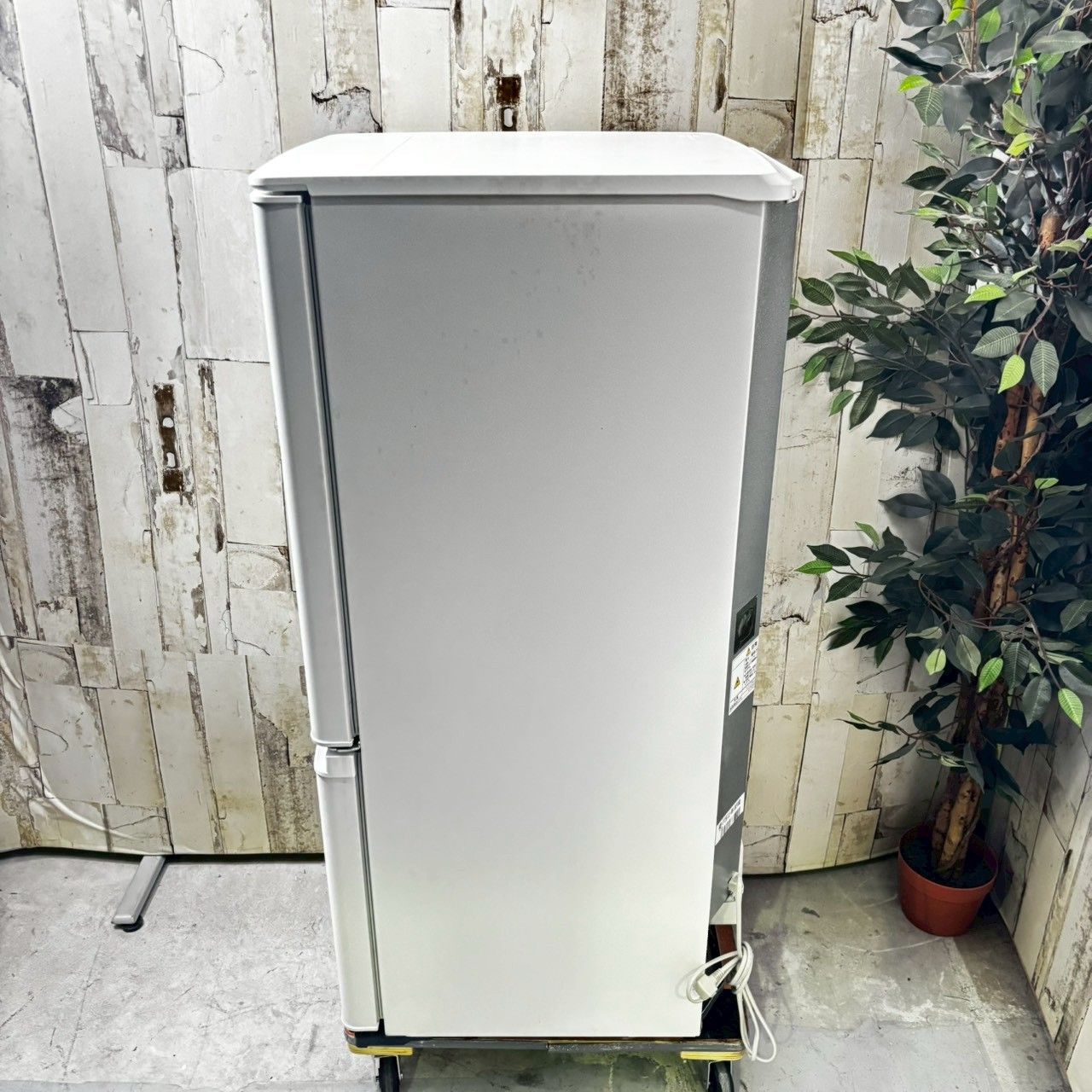 2025年製 三菱 MR-P15E3J-W ノンフロン冷凍冷蔵庫 146L