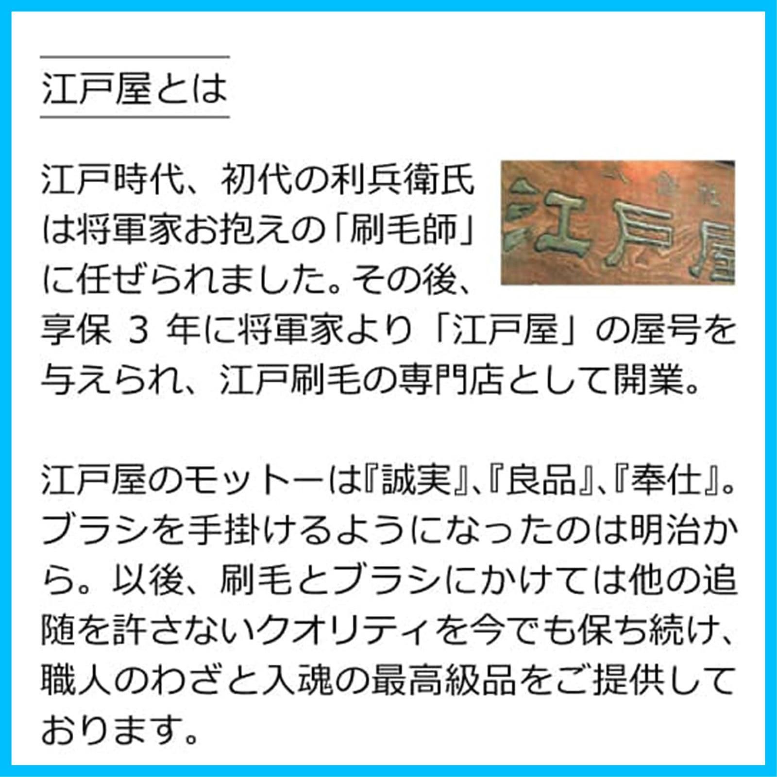 特価セール】【創業300年江戸屋】豚毛ヘアブラシ６行植え 豚毛100％ 最