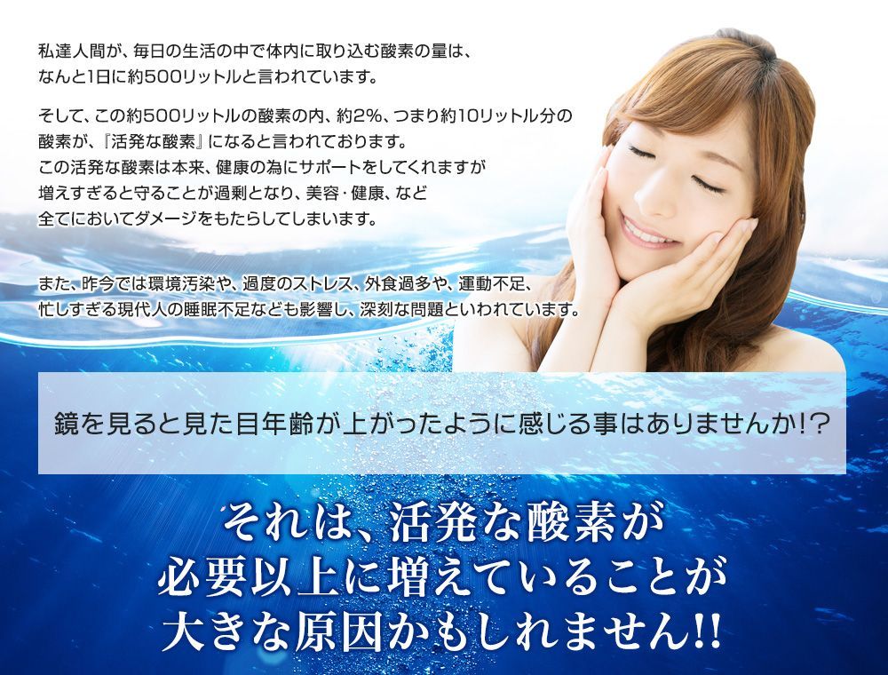 約12ヶ月分ダイエット サプリメント