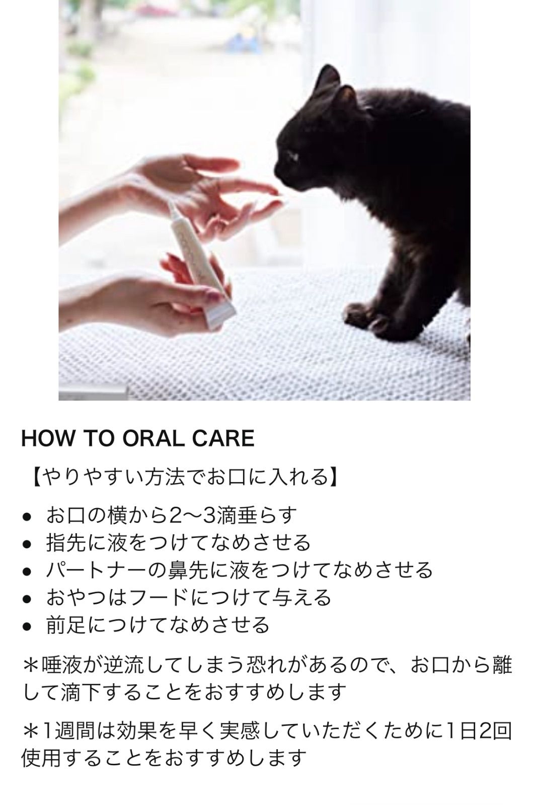 猫用歯ブラシ