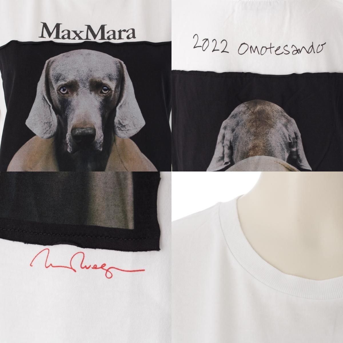 Max Mara - マックスマーラ 23年 コットン 表参道限定 CIPRIA ドッグ プリント 半袖Ｔシャツ 2319410831 ホワイト M【中古】 マックスマーラ 23年 コットン 表参道限定 CIPRIA ドッグ プリント