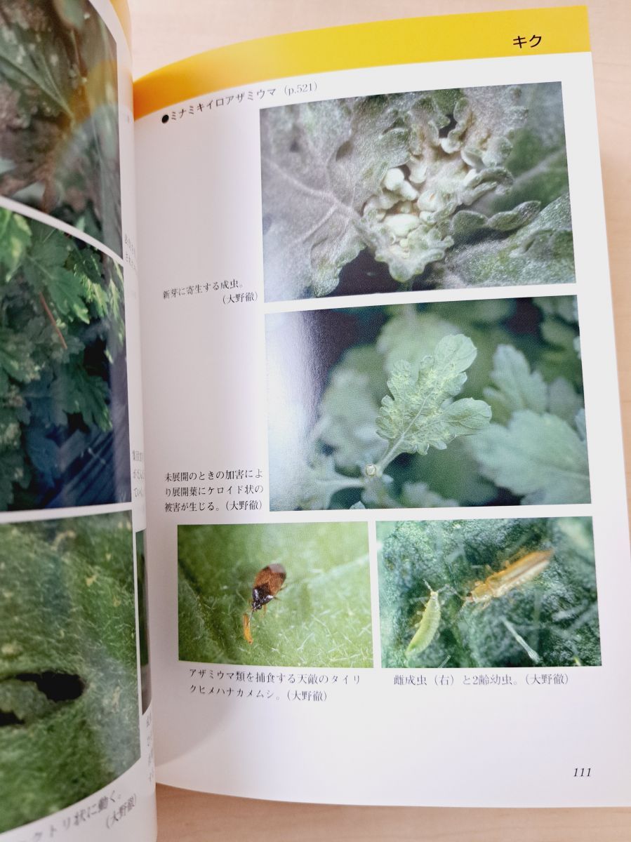 1～7巻 農山漁村文化協会